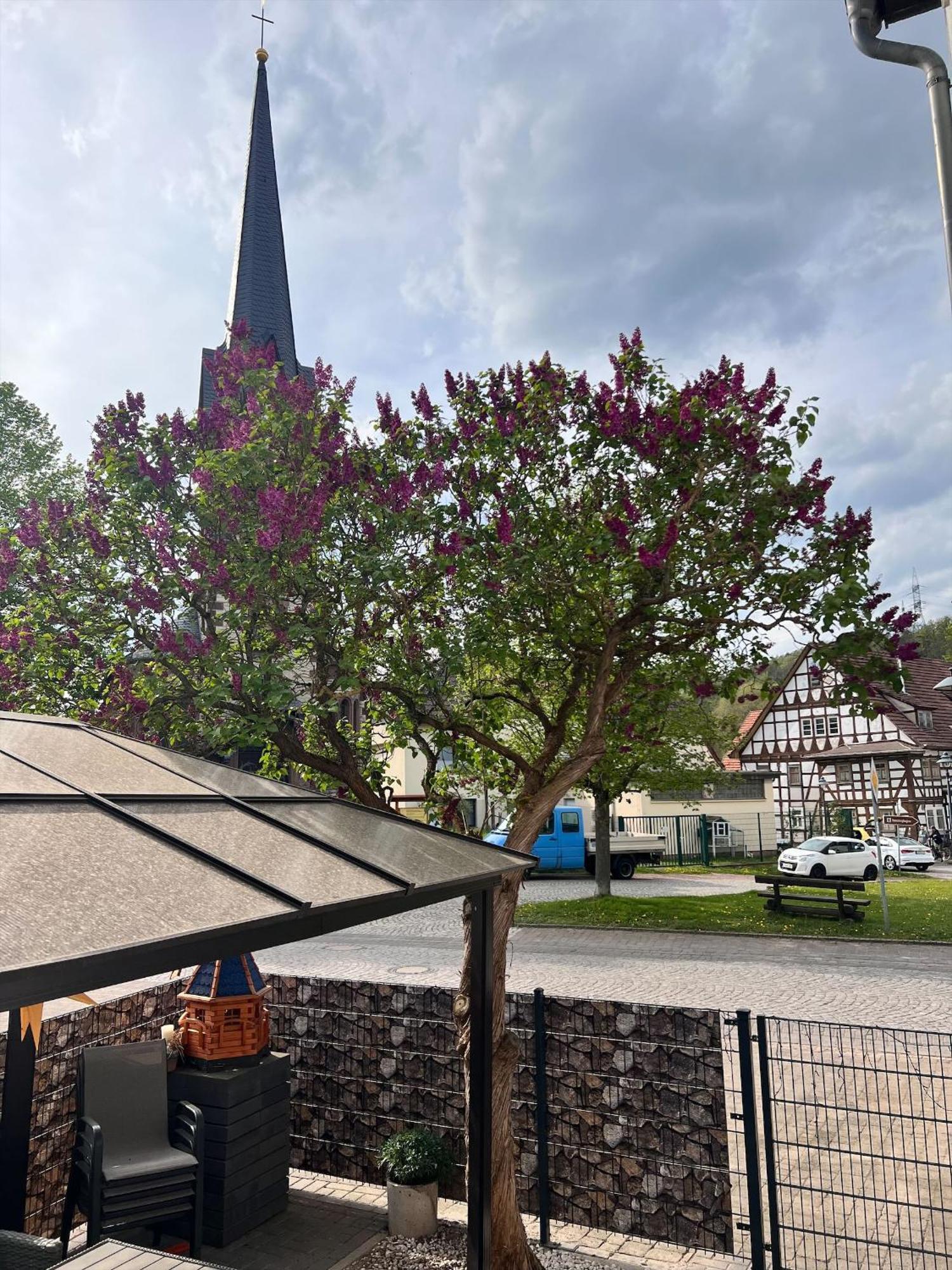 Ferien- Und Monteurwohnungen Andrej Eisenach Esterno foto